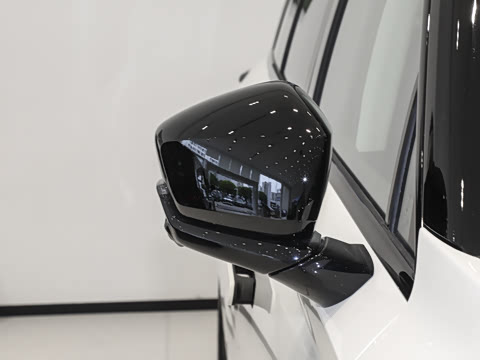 2025�� ���� Max