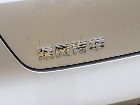 2025�� ���� 230ProѲ����