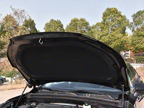 2025�� ������Plus 28T �����׽��