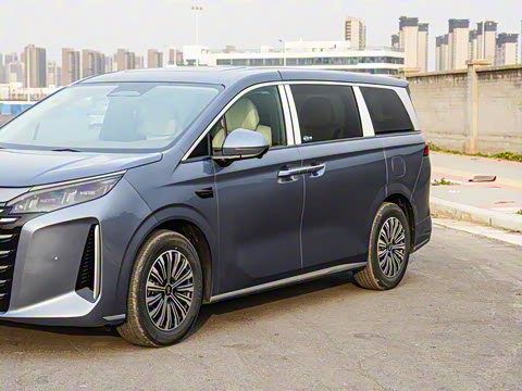 2025�� DM-i 1.5T 100km ��Խ��