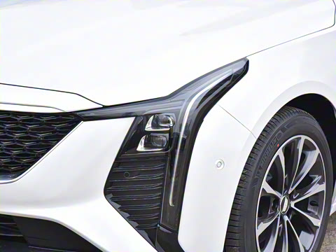 2025�� 28T �����˶���