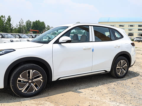 2025�� 55km ������