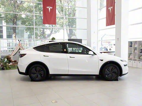 2025�� ����������