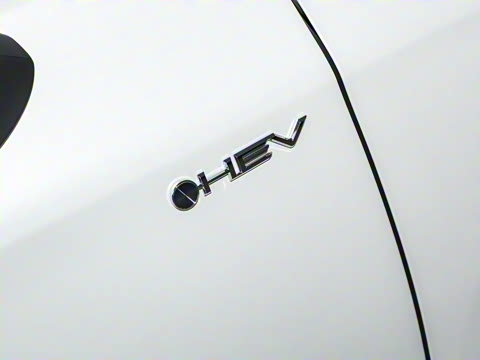 2024�� ˫�� 2.5L XLE����