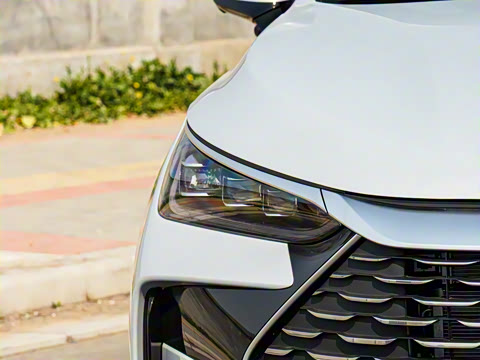 2025�� �Ǽݰ� DM-i 115KM �����