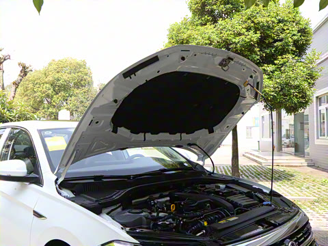 2025�� �Ŀ�� 300TSI DSG��Խ��