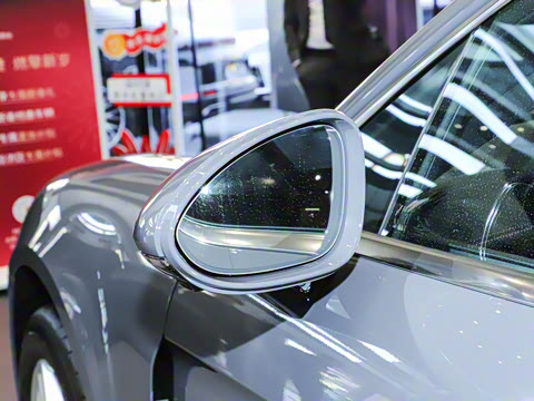 2024�� Panamera 2.9T