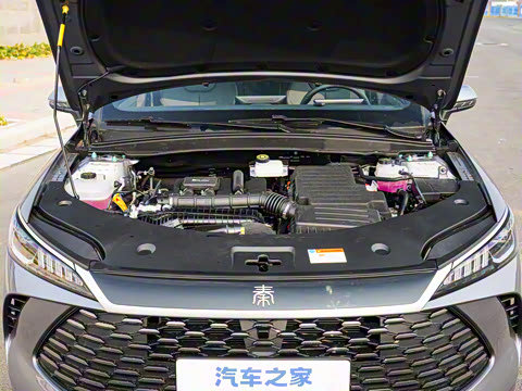 2025�� DM-i �Ǽݰ� 55KM������