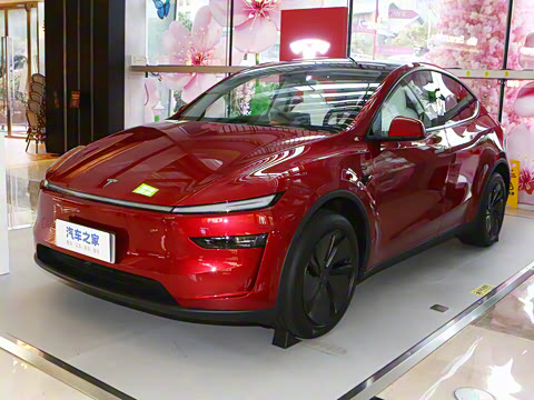 2025�� ����������