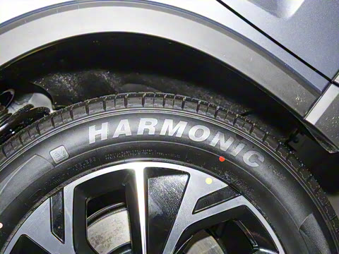 2025�� �ڶ��� �Ǽݰ� DM-i 75KM��Խ��