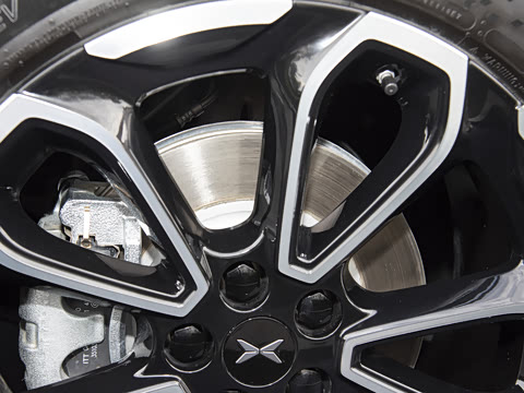 2025�� 725 �������� Max �콢��