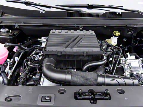 2025�� ������ 7��