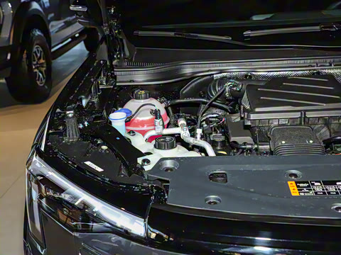 2025�� ������