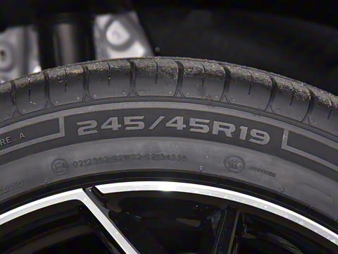 2025�� �������̰� 230�����