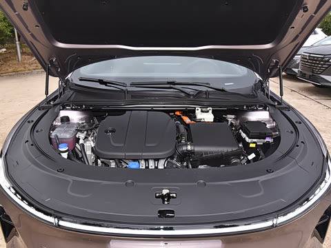 2025�� �������̰� 230�����