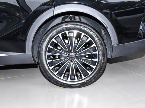 2025�� ��Խ��Pro