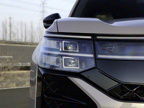 2025�� ;�� Pro 450TSI �����Ƿ��