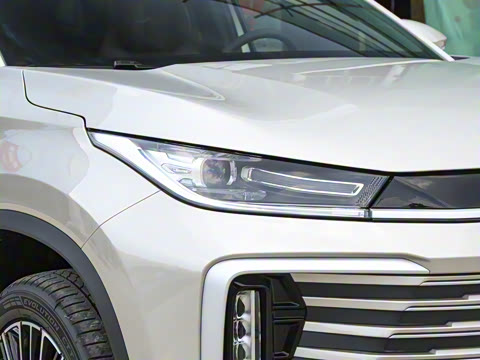 2025�� 300T ������ҹ��