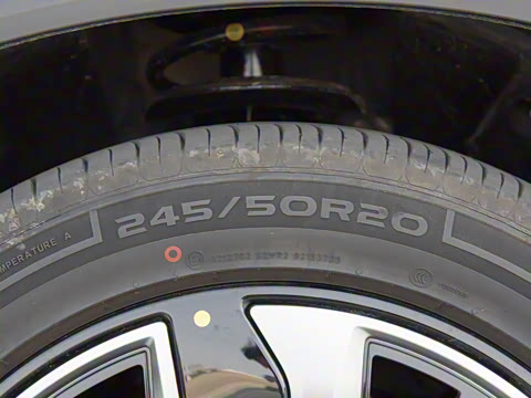 2025�� 150 �캽+��