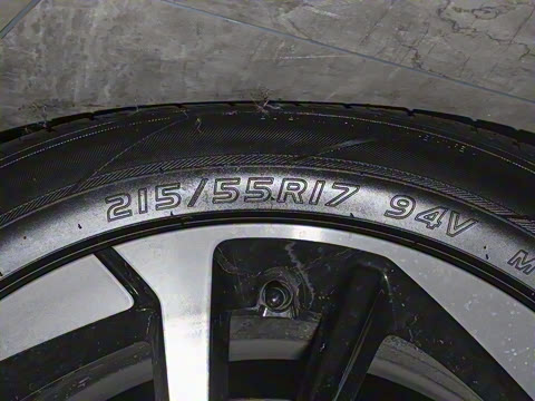 2024�� Younger ��ҫ��