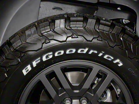 2025�� Trialmaster��