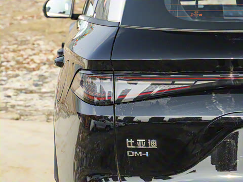 2025�� DM-i �Ǽݰ� 75KM�����