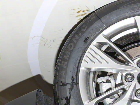 2025�� 565km ������