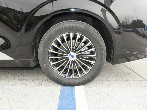 2025�� EV ��������