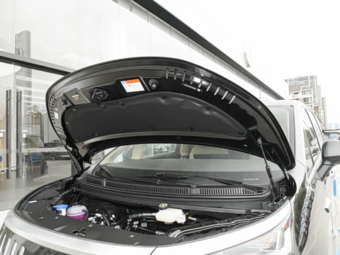 2025�� EV ��������