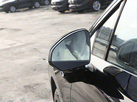 2025�� 530km ����Max