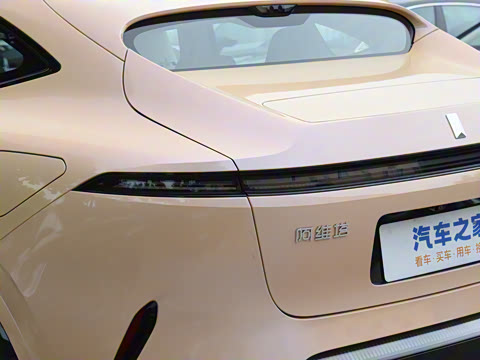 2025�� Max �����