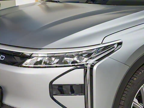 2025�� 100������Plus����