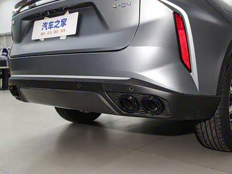 2025�� 100������Plus����