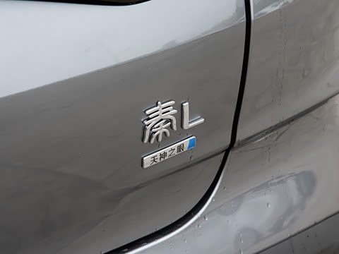 2025�� DM-i �Ǽݰ� 120KM׿Խ��