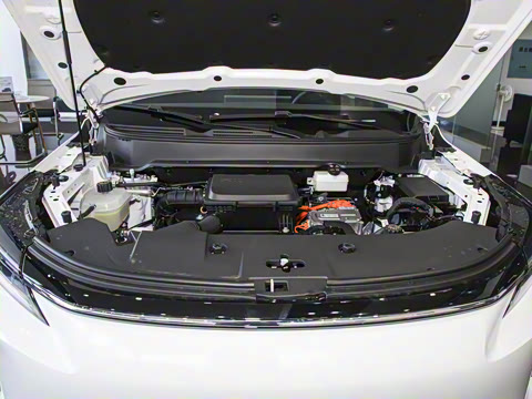 2025�� 165km ������������ 7��