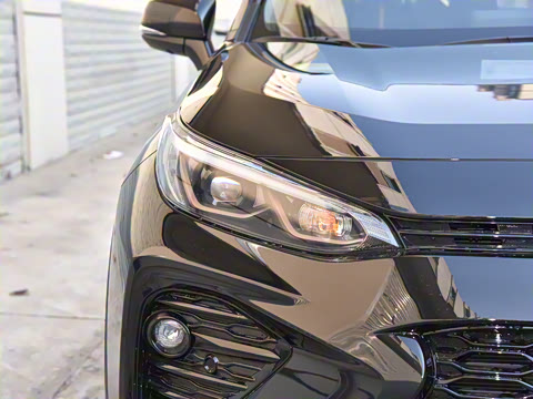 2024�� ˫�� 2.5L E-CVT��������PLUS��