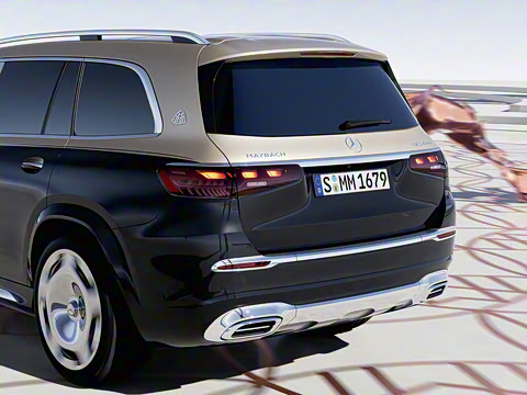 2025�� GLS 600 4MATIC ���ְ�