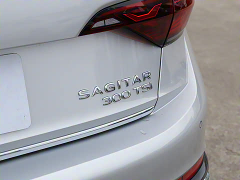 2025�� 300TSI DSG׿Խ��