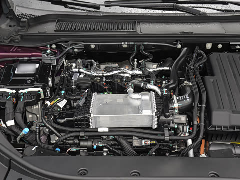 2025�� 260������������