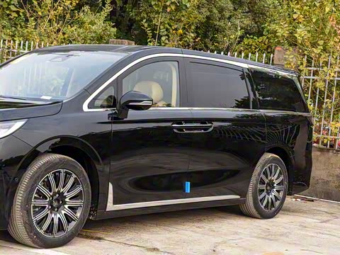 2025�� EV �������������