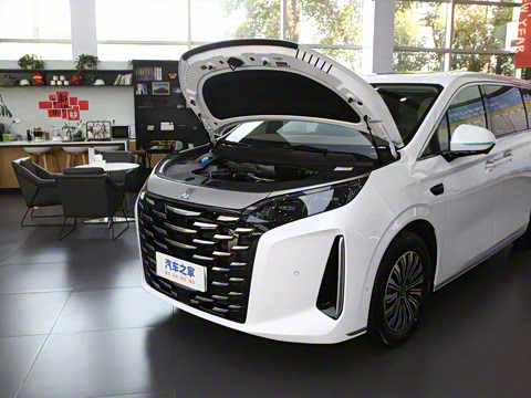 2025�� DM-i 1.5T 180km ��Խ��