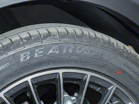 2024�� ������