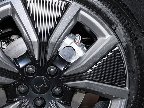 2025�� ����������Pro