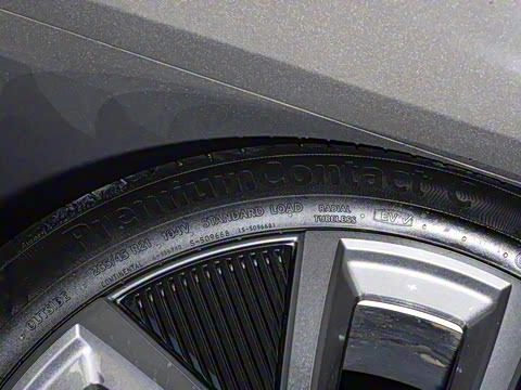 2025�� ����������Pro