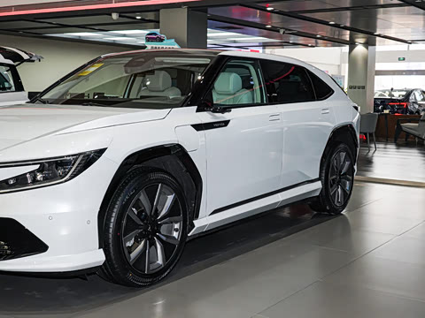 2025�� ����������Pro