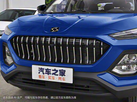 2021�� 300T �ֶ�ȫ�������� 7��