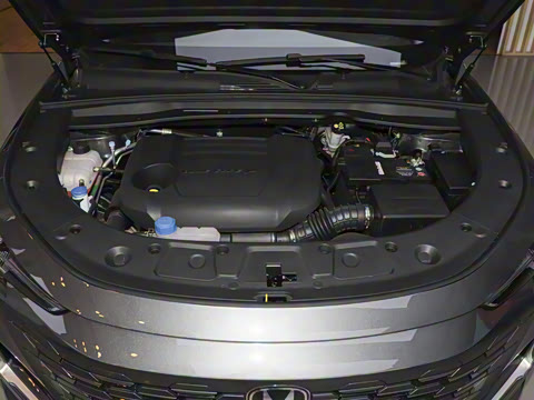 2024�� 2.0T ����������