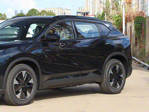 2025�� 205��������������