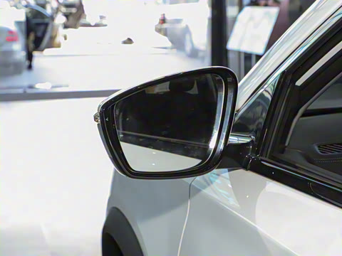 2024�� 1.6T DCT��Ӣ�� 7��