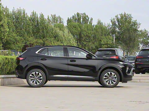 2025�� 25T �׽��